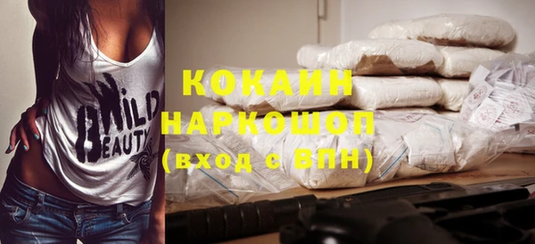 прущий лед Богданович