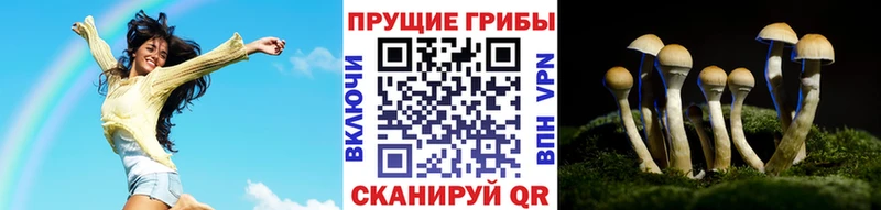 Галлюциногенные грибы Cubensis  Беломорск 